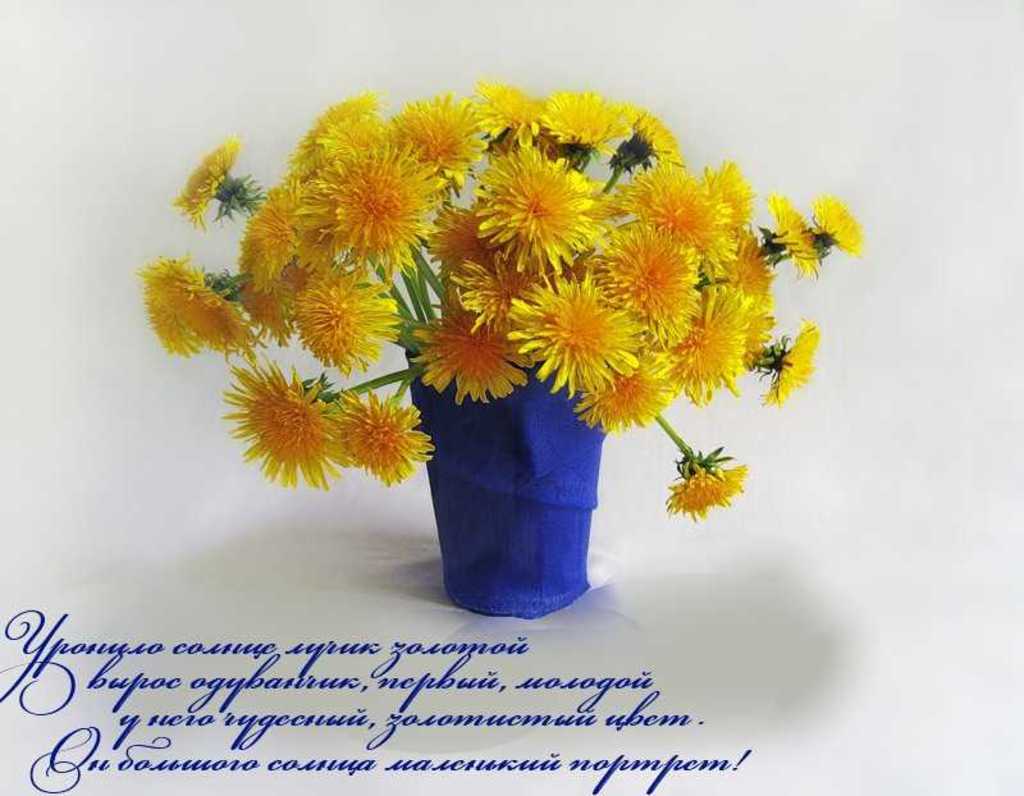 Открытка бабочка над желтым одуванчиком. Открытка яркого тебе дня с жёлтыми и...