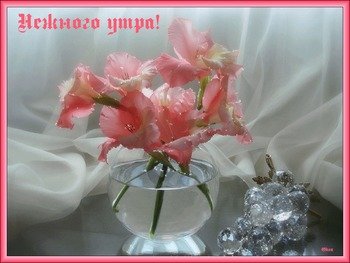 Открытка розовые гладиолусы и розовые сердечки на сером фоне.