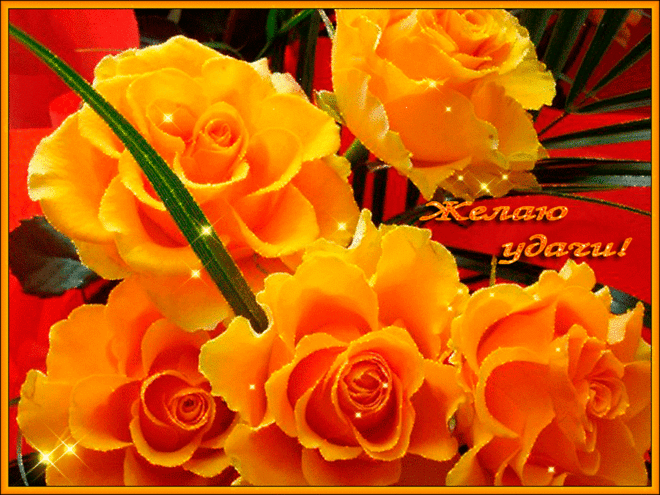 Прикольные картинки удачи. Анимационные картинки Желаю удачи. 