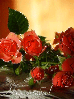 Открытка на Татьянин день с красными розами. Открытка для Яны на день рождени...