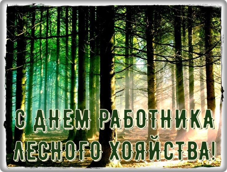 С праздником работники лиса! открытки с берёзками на День работников леса.