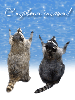 Красивые картинки Первый снег, с первым снегом приколы. Картинки со снегом кр...