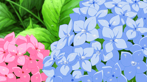 Гортензия фото букет. Картинка с гортензиями. Открытка подружке с гортензиями. 