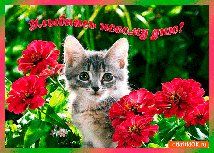 Картинки с надписью Улыбнись. Картинки Улыбнись всё будет хорошо.