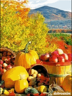 Открытка с котом , с началом осени! Открытки со стихами про осень.