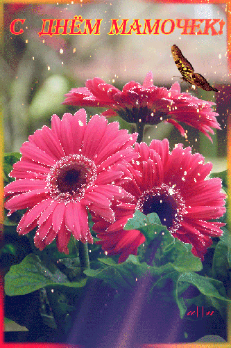 Открытки с Днём матери 2020. Поздравления с Днем матери сестре открытки. 