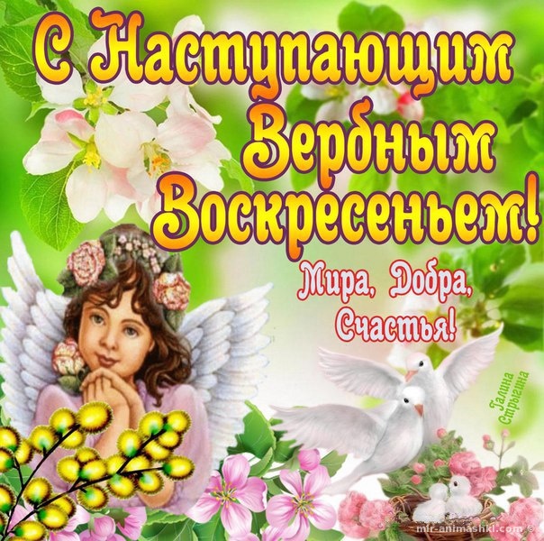 Открытка с вербой над водой переливающаяся анимированная на Вербное воскресенье.