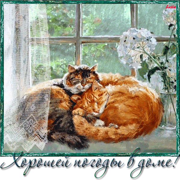 Картинки статусы про погоду. Картинки про погоду прикольные.