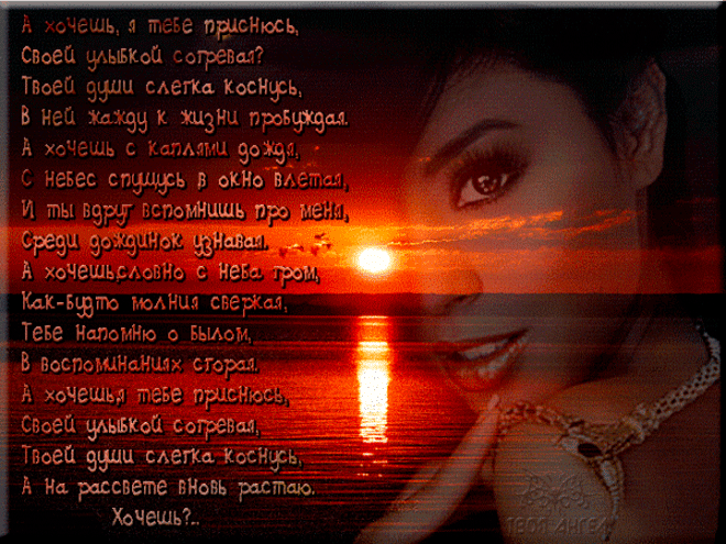 Картинки про любовь со стихами скачать. Картинки про любовь скачать.