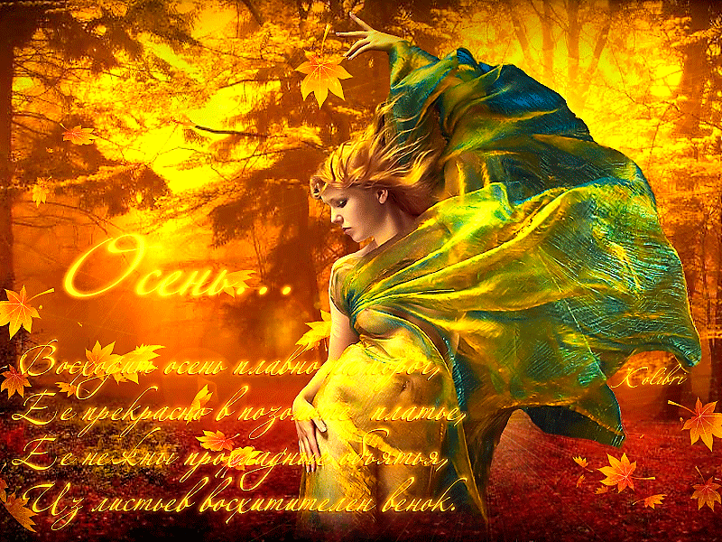 С первым днём осени. Пожелания теплой осени. Открытка с осенними деревьями с ...