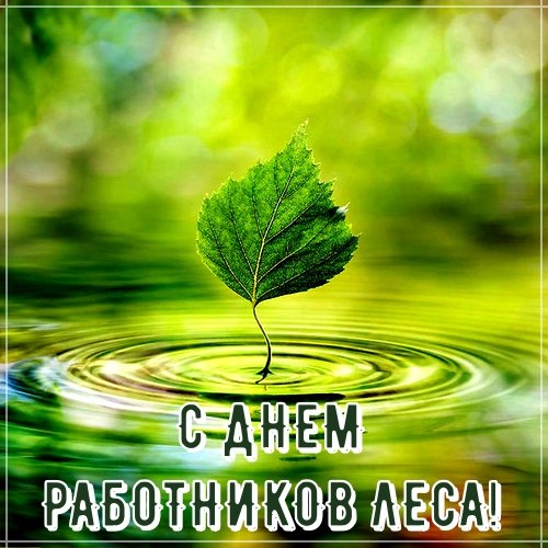 С праздником работники лиса! открытки с берёзками на День работников леса.