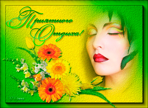 Открытка с букетом герберов и надписью на ленточке с Днём Рождением.