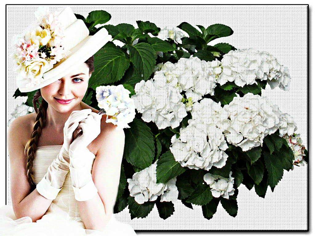 Открытка с нарисованными гортензиями. Открытка от всего сердца с гортензией.