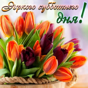 Открытки с субботой прикольные. Открытки с субботой бесплатно.