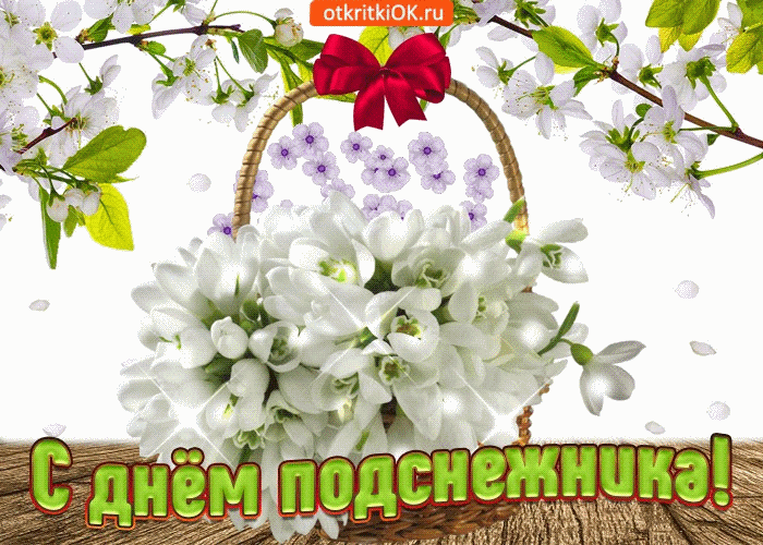 Фото подснежника скачать. Открытки с Днем подснежника. Картинки подснежники п...