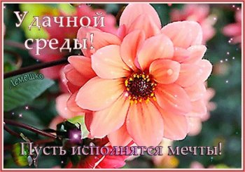Открытка Доброе утро удачной среды! Открытка Пусть среда подарит удовольствие!