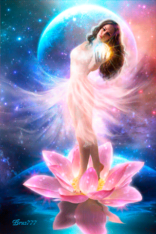 Открытка лотосы на воде. Открытка с днем Нептуна, с цветком лотоса.