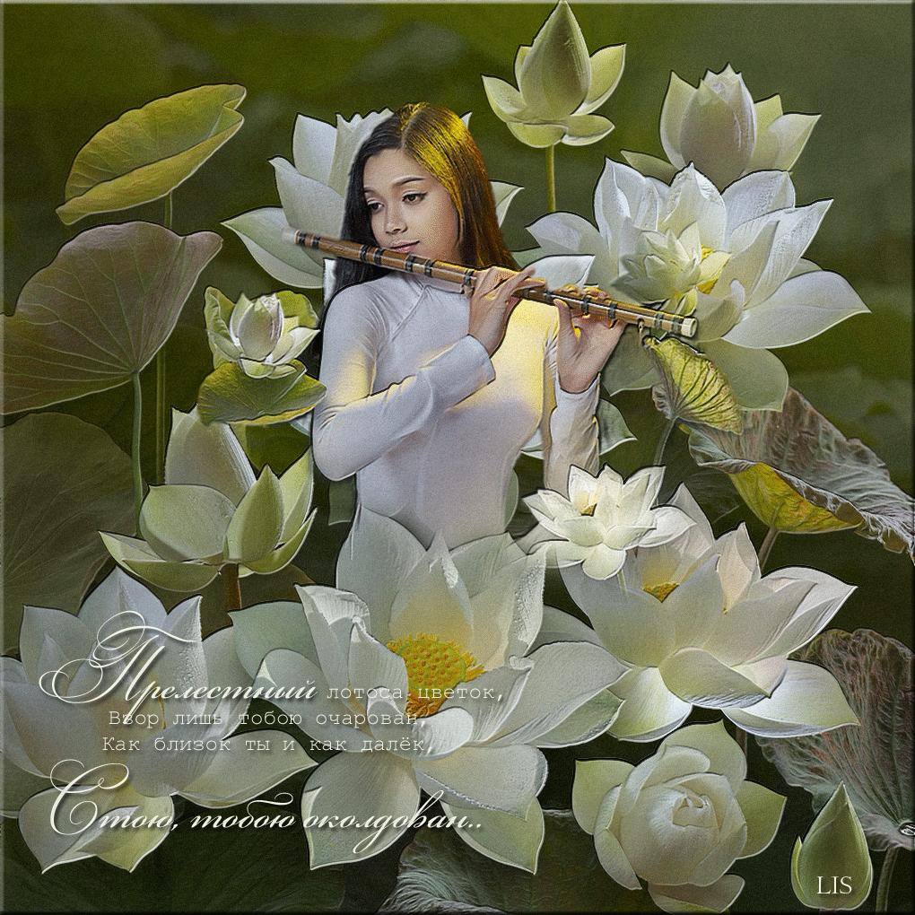Открытка пурпурный Лотос. Открытка Фея в цветке лотоса. Открытка поляна лотосов.