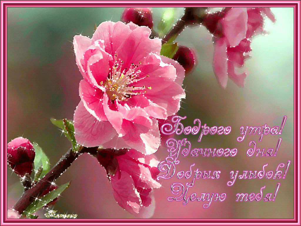 Картинки С добрым солнышко. С добрым утром красавица картинки.