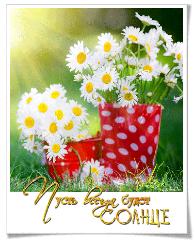 Открытка с надписью С днём рождения и ромашкой. Открытка на день рождения с с...