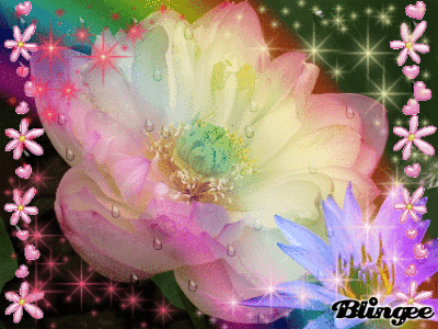 Открытка Лотос мерцает подождем , Лотос с желтой серединкой. Открытка распуст...