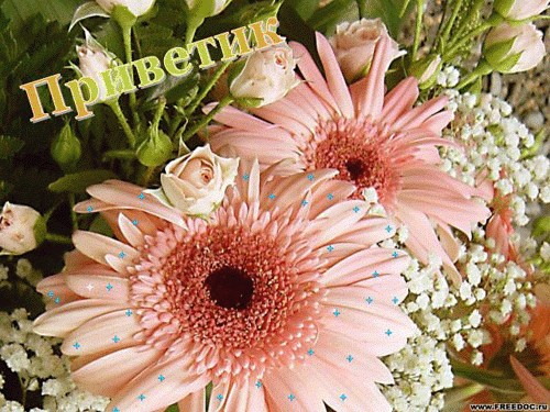 Открытки осенний Привет. Открытки Весенний Привет. Открытки открытки гиф Привет.