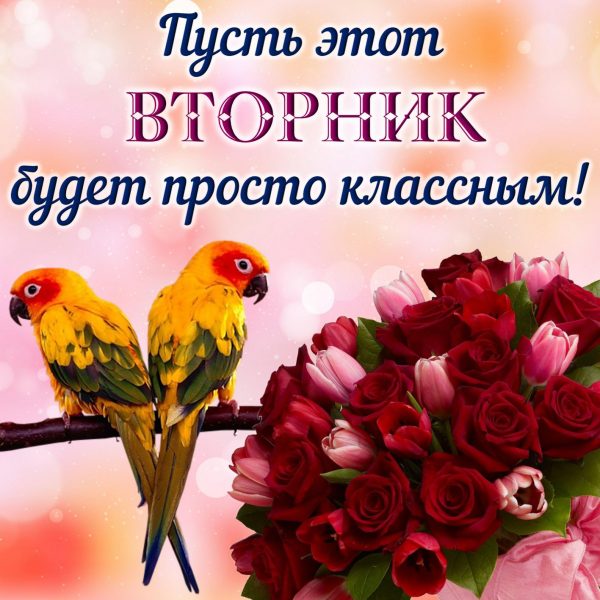 Открытка красивого вторника! Удачного денёчка вам! Открытка Доброе утро вторн...