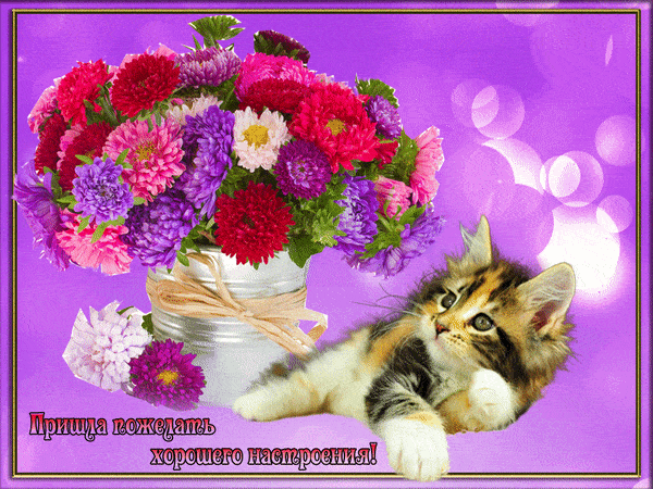 Открытка бабочка сидит на букете малиновых астр. Открытка А это тебе Береги с...