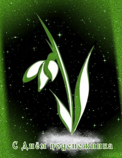 Открытка с днем подснежника. Открытка с днем рождения подснежники.