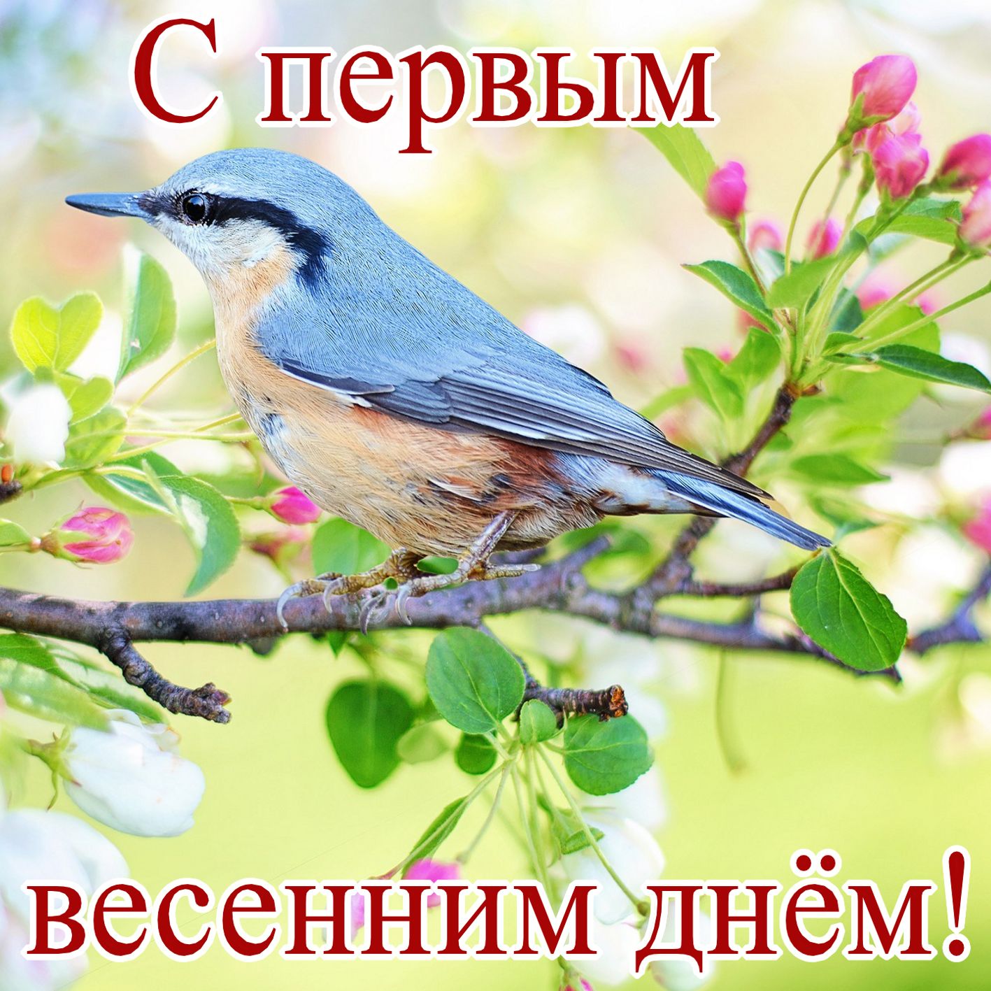 Картинки С первым днем весны. Картинки детские С первым днем весны.