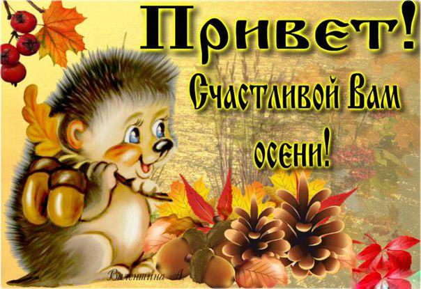Открытки на каждый день прикольные. Осенний Привет картинки. Открытки кз. Отк...