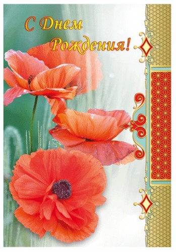 Открытка Поздравляю с нарисованными красными маками.  Векторная картинка крас...