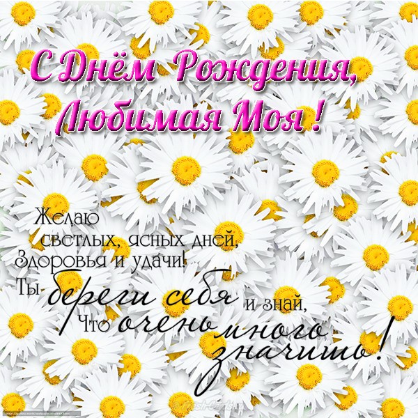 Открытка с днём рождения любимая жена! Открытка моя любимая жёнушка! С днём р...