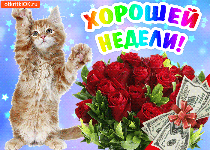 Открытка хорошей рабочей недели. Удачной недели пожелания. Удачной недели гиф.