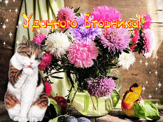 Доброе утро удачного вторника. Удачного вторника. Фото Удачного вторника.