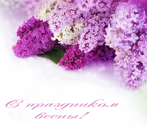 Скачать бесплатно сирень.  Открытки С днём рождения с сиренью.