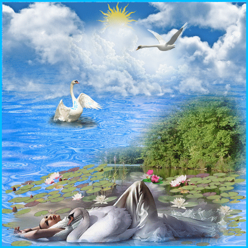 Красивые открытки с лебедями. Открытки с лебедями. Картинки лебеди с лебедятами.
