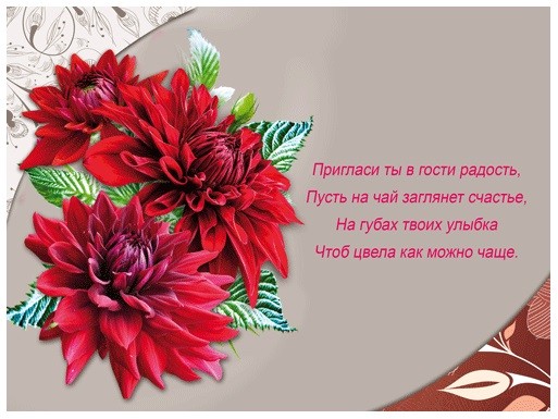 Открытка для тебя георгинами на чёрном фоне. Открытка с красным георгином.