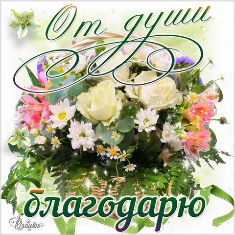 Открытка Спасибо взаимно. Открытки со словом Спасибо. Открытки с благодарност...