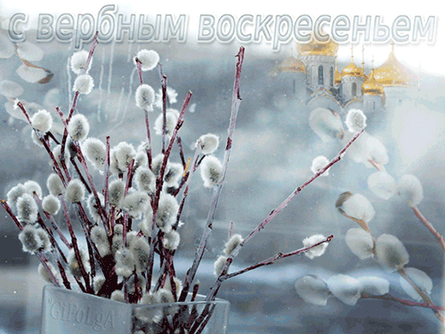 Открытка с вербой над водой переливающаяся анимированная на Вербное воскресенье.