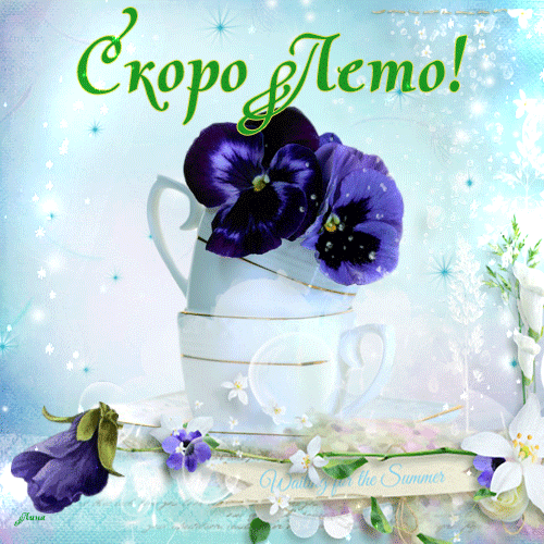 Смешные картинки Скоро лето. Хочу на море смешные картинки. 