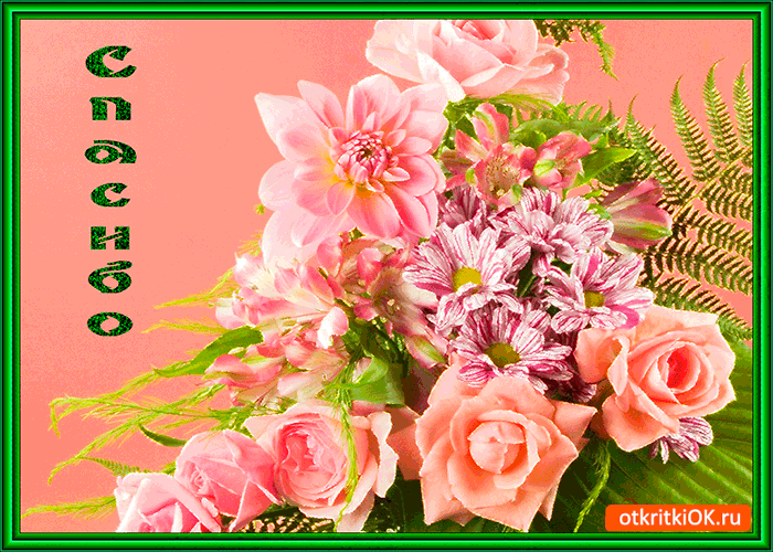 Открытки с розовыми розами. Открытки С днём рождения с розовыми розами.