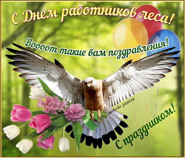 Открытки С днём работников леса. Открытки С днём работников леса анимация.