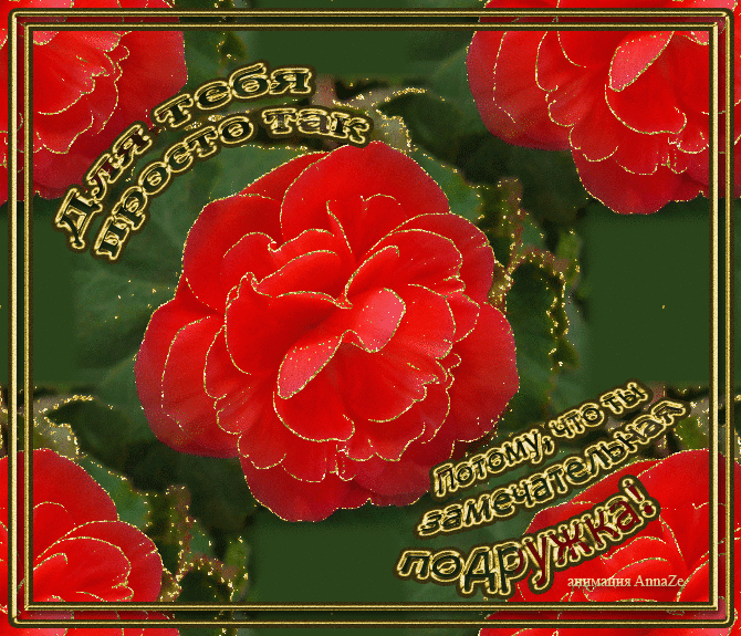 Картинки доброе утро с пионами. Картинки с 8 мартом с пионами.