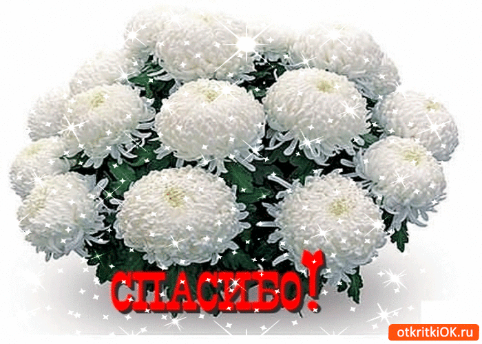 Открытка Спасибо друг. Открытка Спасибо взаимно. Открытка Спасибо мужчине.