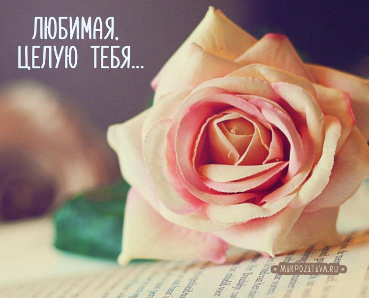 Открытка с поцелуями. Открытки с поцелуями бесплатно. Открытки с поцелуями дл...