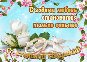 Картинка 11 лет вместе. 11 лет свадьбы прикольные поздравления. 