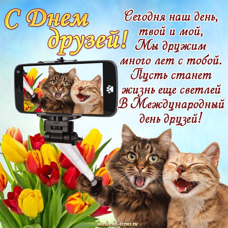 С Днем Дружбы 2020. Открытки . С международным днем друзей. 