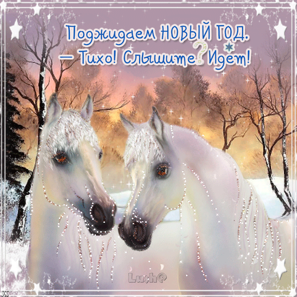 Картинка с лошадьми. Картинки с лошадьми и красивые. Картинки с лошадью.