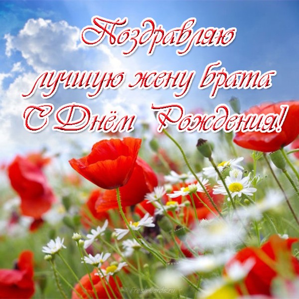 Картинки С днём рождения жене прикольные. Открытки С днём рождения любимой же...